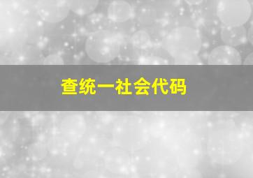 查统一社会代码