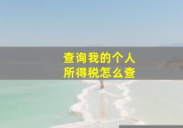 查询我的个人所得税怎么查