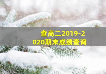 查高二2019-2020期末成绩查询