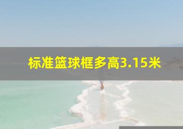 标准篮球框多高3.15米