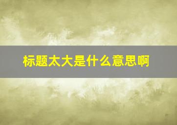 标题太大是什么意思啊