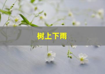 树上下雨