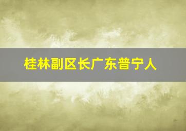 桂林副区长广东普宁人