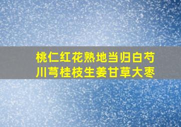 桃仁红花熟地当归白芍川芎桂枝生姜甘草大枣