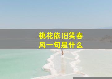 桃花依旧笑春风一句是什么