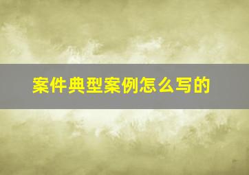 案件典型案例怎么写的