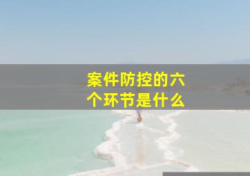 案件防控的六个环节是什么