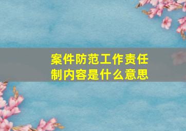 案件防范工作责任制内容是什么意思