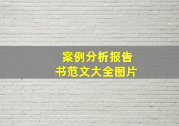 案例分析报告书范文大全图片