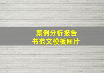 案例分析报告书范文模板图片