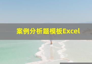 案例分析题模板Excel