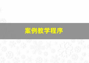 案例教学程序