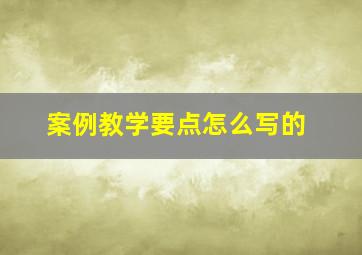 案例教学要点怎么写的