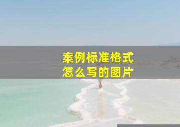 案例标准格式怎么写的图片