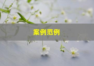 案例范例