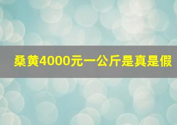 桑黄4000元一公斤是真是假