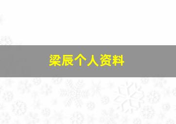 梁辰个人资料