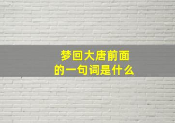 梦回大唐前面的一句词是什么