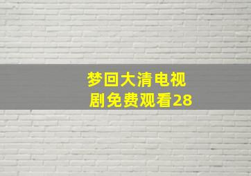 梦回大清电视剧免费观看28