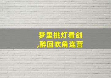 梦里挑灯看剑,醉回吹角连营