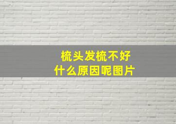 梳头发梳不好什么原因呢图片