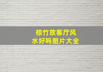 棕竹放客厅风水好吗图片大全