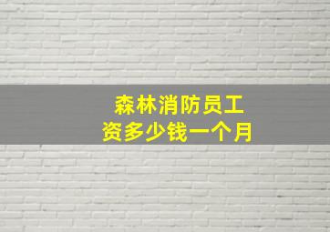 森林消防员工资多少钱一个月