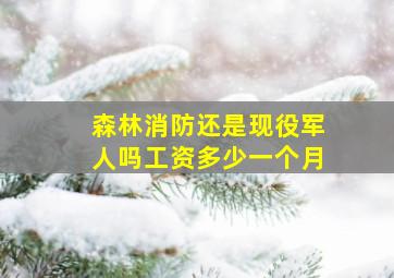 森林消防还是现役军人吗工资多少一个月