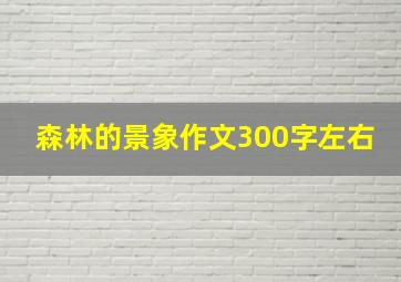 森林的景象作文300字左右