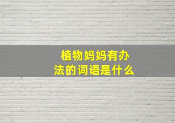 植物妈妈有办法的词语是什么