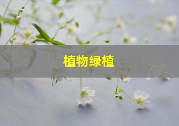 植物绿植