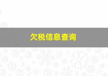 欠税信息查询