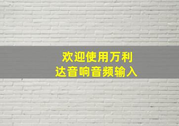 欢迎使用万利达音响音频输入