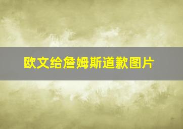 欧文给詹姆斯道歉图片