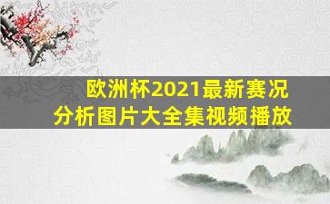 欧洲杯2021最新赛况分析图片大全集视频播放