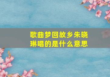 歌曲梦回故乡朱晓琳唱的是什么意思