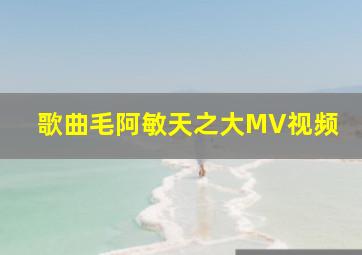 歌曲毛阿敏天之大MV视频