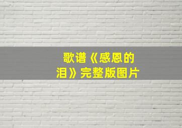 歌谱《感恩的泪》完整版图片