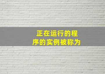 正在运行的程序的实例被称为