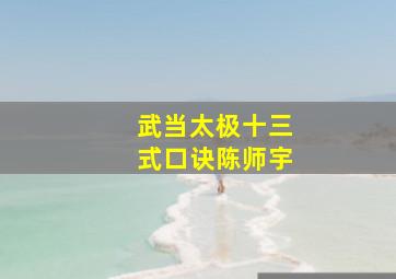 武当太极十三式口诀陈师宇