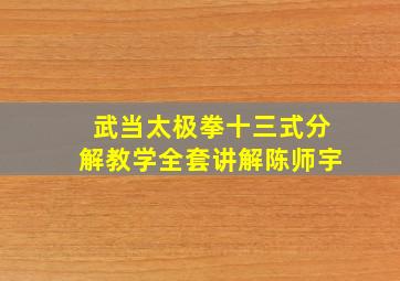 武当太极拳十三式分解教学全套讲解陈师宇