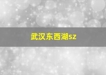 武汉东西湖sz