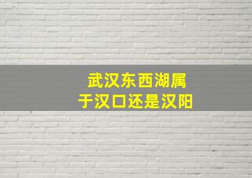 武汉东西湖属于汉口还是汉阳