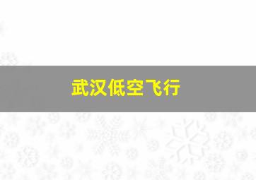 武汉低空飞行