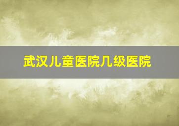 武汉儿童医院几级医院