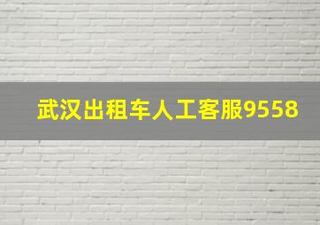 武汉出租车人工客服9558