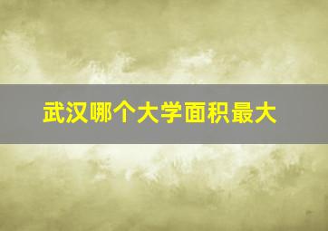 武汉哪个大学面积最大