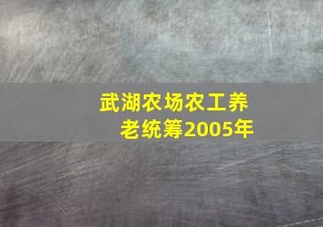 武湖农场农工养老统筹2005年