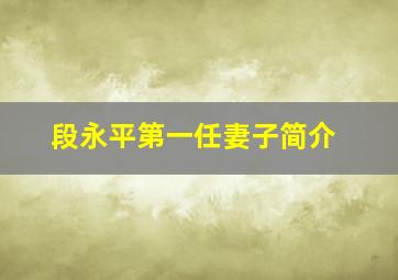 段永平第一任妻子简介