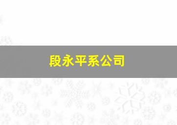 段永平系公司